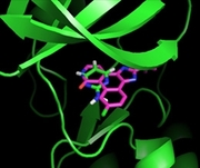 Synkinase keeps us updated 