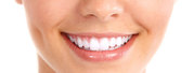 The Dental Company 