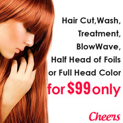 Quality Hairdressing Service & Many More at AUD99