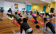 Yoga Teacher Training Sydney- Yoga School Of India