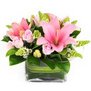 Best Online Florist in Sutherland  -  Hospital Florist 