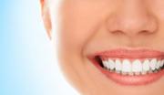 BEDC (03 95788500) – Best Dentist at Brighton