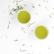 MYCHA - Perfect Tea Blenders