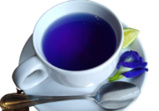 Blue Peaflower Tea